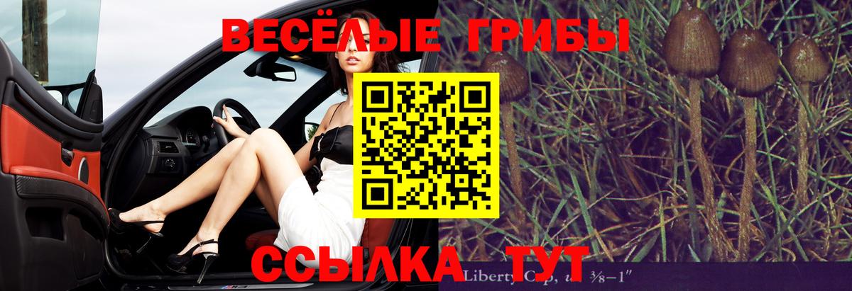 Псилоцибиновые грибы Psilocybine cubensis  Псилоцибиновые грибы мухоморы  закладка  Киров 