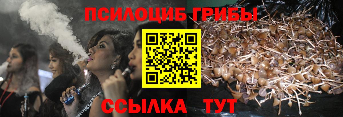 Псилоцибиновые грибы Magic Shrooms Киров